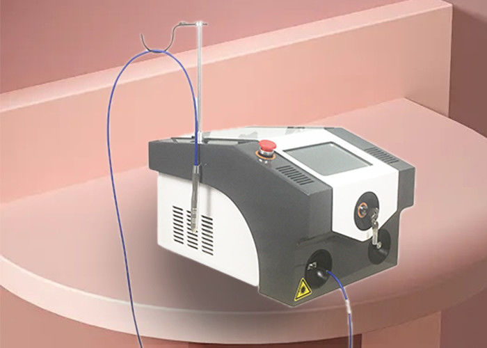 Longitud de onda de la CA 220V/de 110V 50HZ/de 60HZ 5A/de 10A 980nm del tratamiento del laser del nanómetro KTP del ABS 532