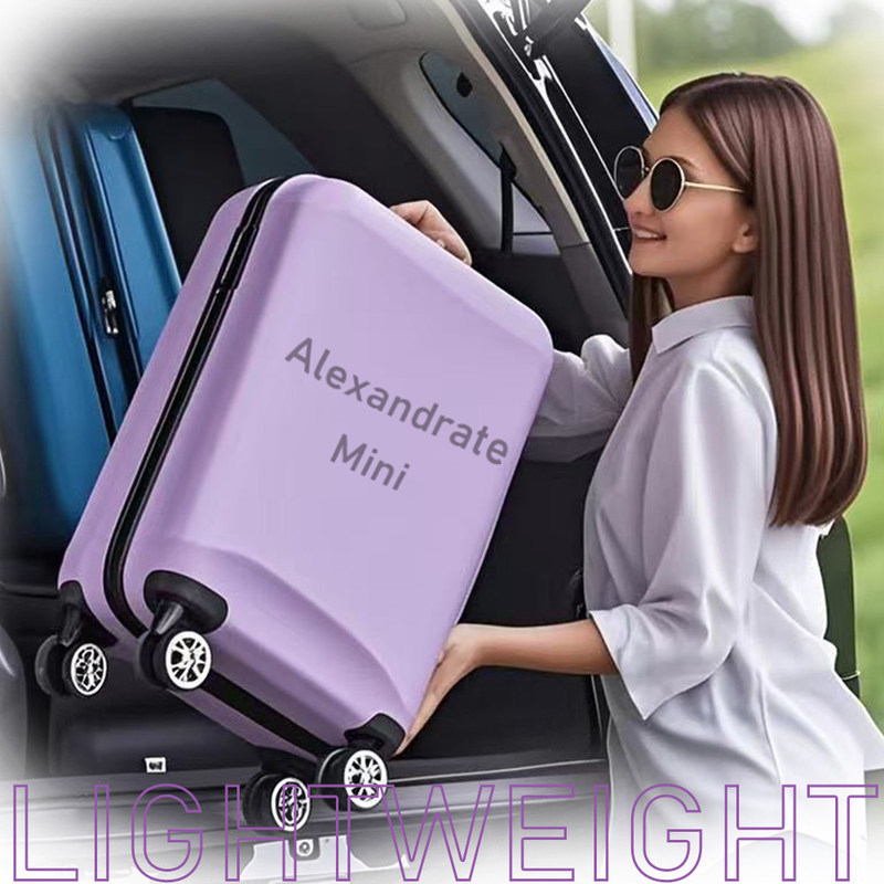 Equipo de belleza portátil de Alexandrite Mini Smart Touch Fuente de alimentación parte Bison Light And Easy 755nm Mini máquina de depilación láser de Alexandrite 755nm